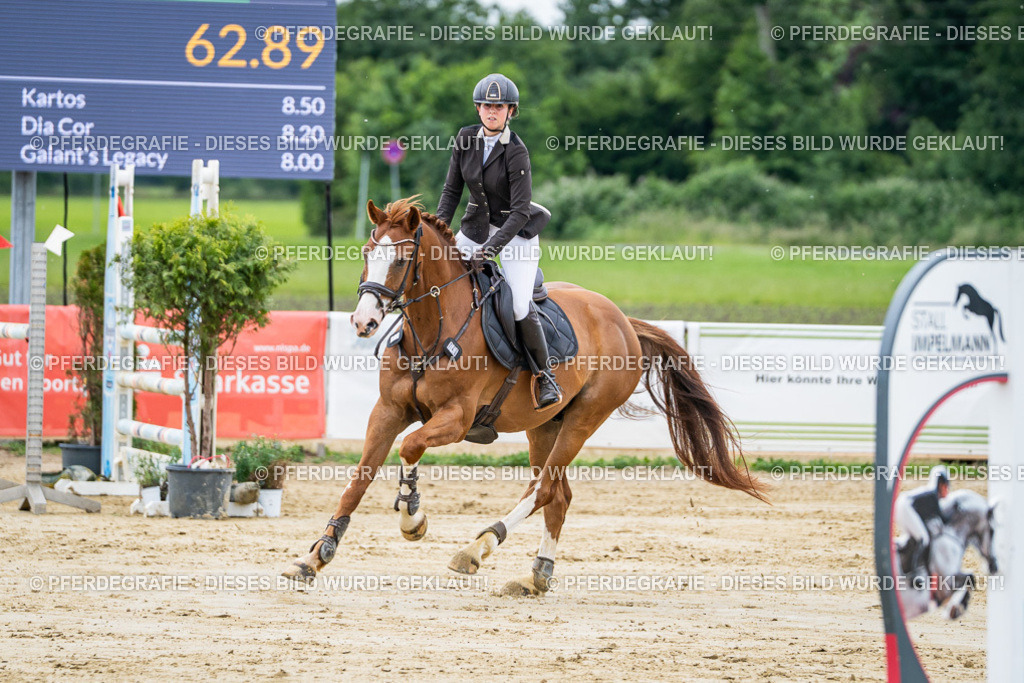 DSC04498 | Pferdegrafie