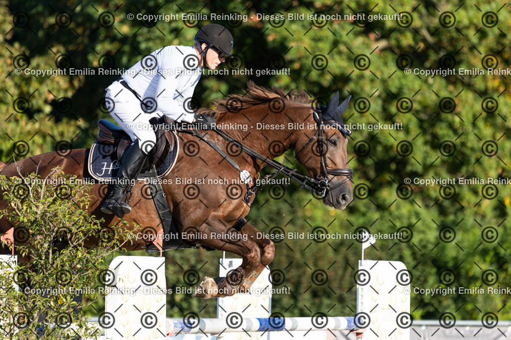 CL5A7012 | Emilia Reinking Fotografie - Realisiert mit Pictrs.com