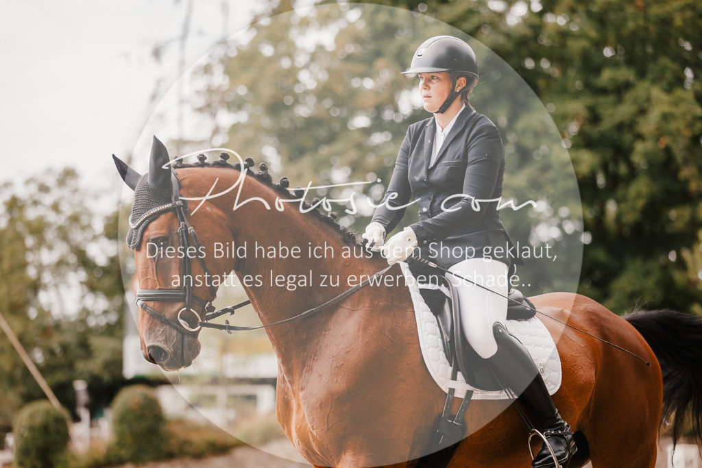 3I6A6323 | Stimmungsvolle Portraits und Reitsportfotografie im Ruhrgebiet und im Münsterland.

Pferdefotografie, Hundefotografie, Tierfotografie, Reportagen, Portraits von Tier und Mensch, Turnierfotografie in Bochum, Recklinghausen, Marl, Haltern am See, Dülmen.. - Realisiert mit Pictrs.com