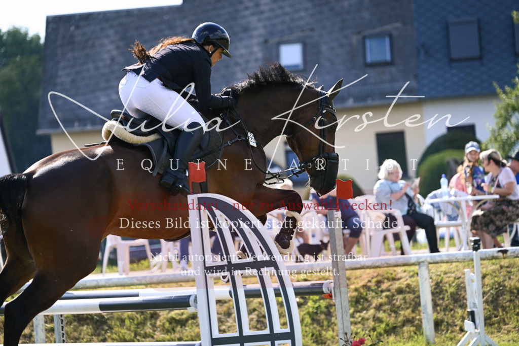 DSC_1194 | Pferde- und Turnierfotografie in Westsachsen. Pferdeportraits, Auftragszeichnungen und intuitive Kunst.