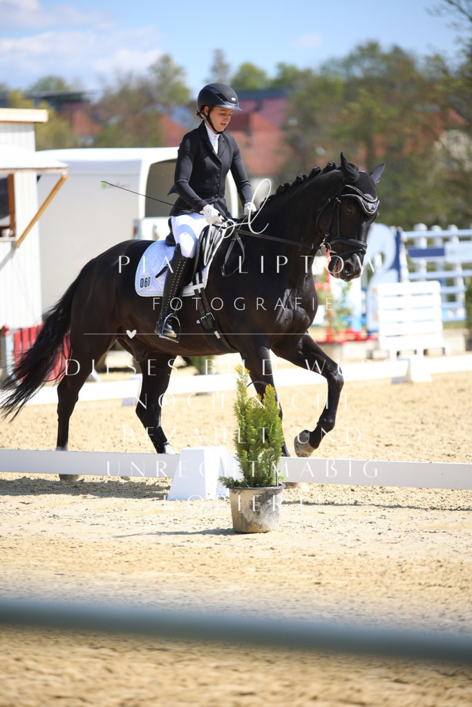 IMGT2645 | pl-fotografie