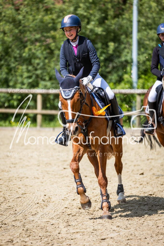 Donop24-SprRW-060 | MomenTaufnahmen Pferdesportfotos