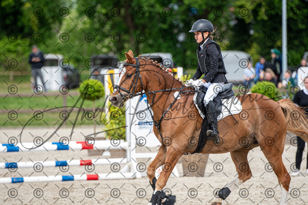 KPT_6040 | andre_photographic