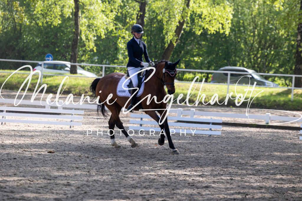 7I8A1303 | melanie-engelhardt-photography - Realisiert mit Pictrs.com