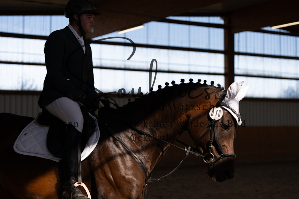 A7V02177 | Turnier/Reitfotograf