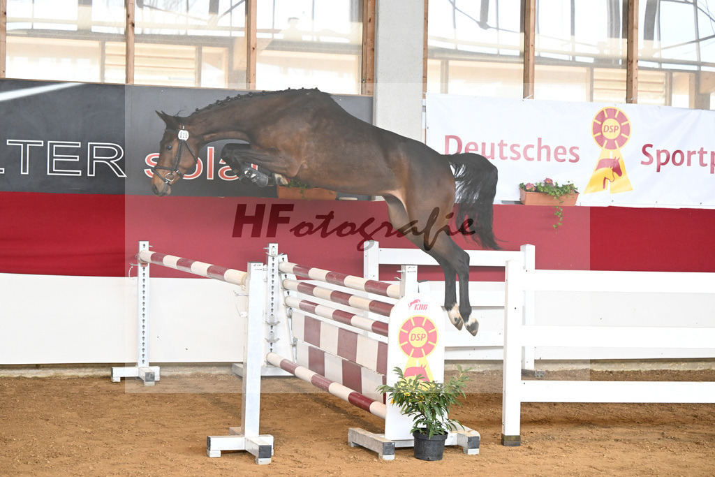 Kat-Nr. 28 Carassina S v. Chinchero_Schaefer_7250758 | hf-fotografie - Realizzato con Pictrs.com