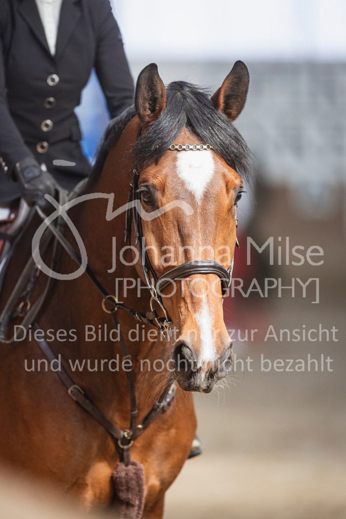 250322_HF-Schwarzenmoor_A2-Spr-105 | Deine schönsten Turniermomente als professionelle Fotos! Entdecke hochwertige Pferdesport-Fotografie im Online-Shop. Jetzt Fotos finden & bestellen!