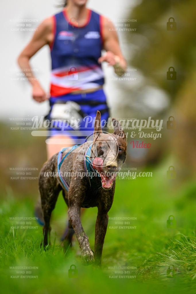 MompixPhotography_20TSB_E8_Run-164 | PayLife