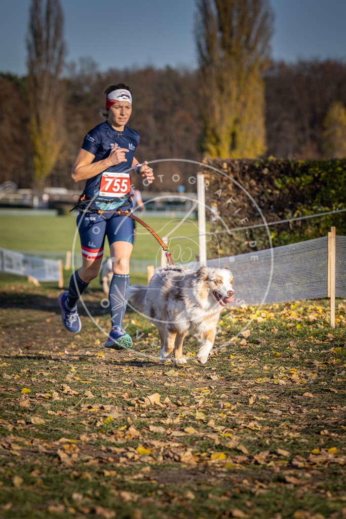 CaniXpix_DV3A2545 | Hundefotografie, Tierfotograf, Pfotenfotografie, Fotoshooting Hund, Hunde Portrait, Hundesport, Hundeportraits, Heideshooting, Hunde, Sportfotograf, Hundefotograf, Turnierhundsport, THS,  - Realisiert mit Pictrs.com