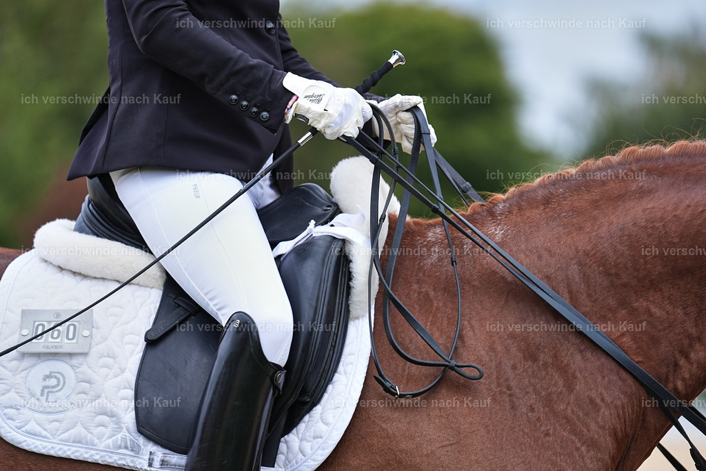 04_1-084-Dressur M__ -Marixx-2743 | working equitationturnier fotograf videograf stoibphotography marixx film working equitation deutschland reitsport turnierfotografie eventfotografie equestrian events