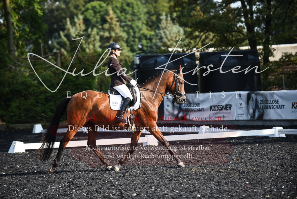 DSC_3229 | Pferde- und Turnierfotografie in Westsachsen. Pferdeportraits, Auftragszeichnungen und intuitive Kunst.
