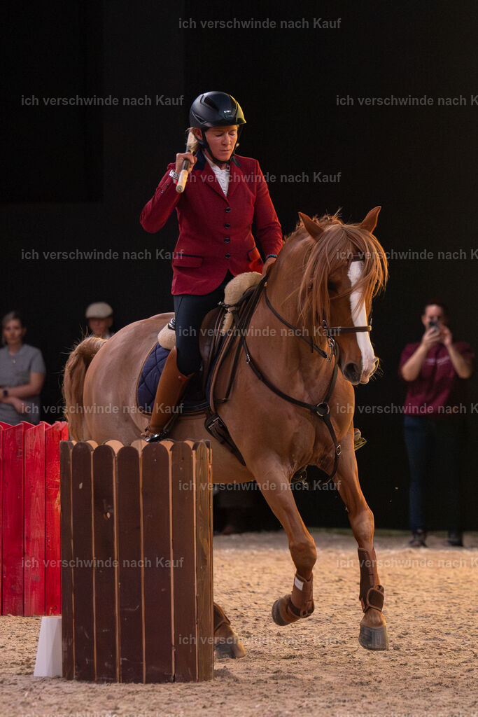 JoseraCup-77 | working equitationturnier fotograf videograf stoibphotography marixx film working equitation deutschland reitsport turnierfotografie eventfotografie equestrian events