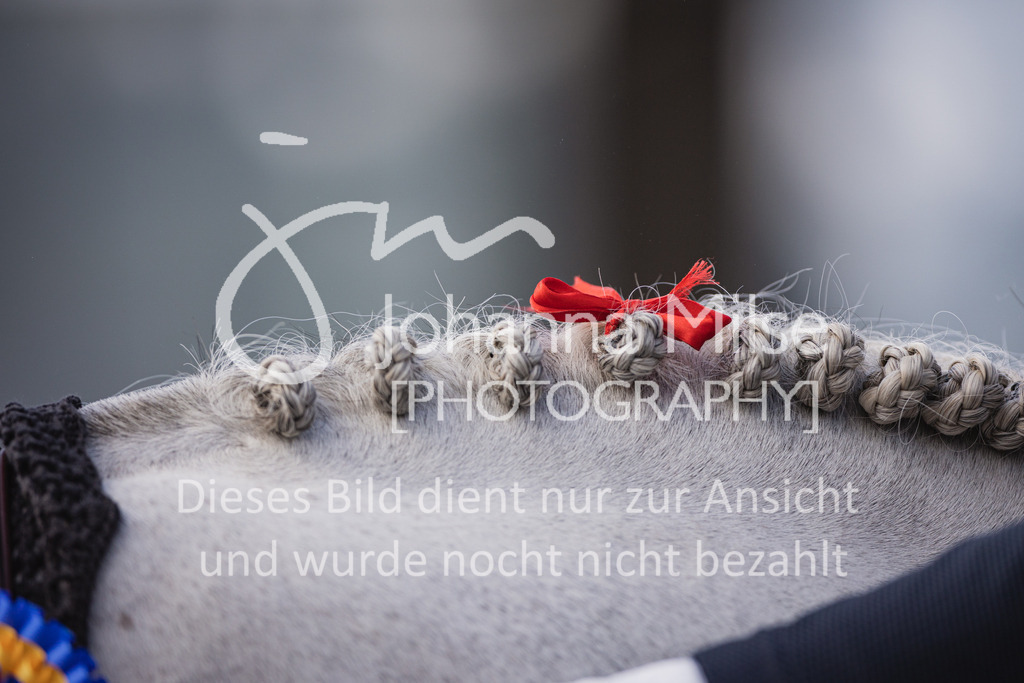 220925_Lanaken_5y-150 | Deine schönsten Turniermomente als professionelle Fotos! Entdecke hochwertige Pferdesport-Fotografie im Online-Shop. Jetzt Fotos finden & bestellen!