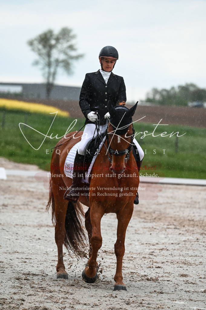 DSC_4419 | Pferde- und Turnierfotografie in Westsachsen. Pferdeportraits, Auftragszeichnungen und intuitive Kunst.