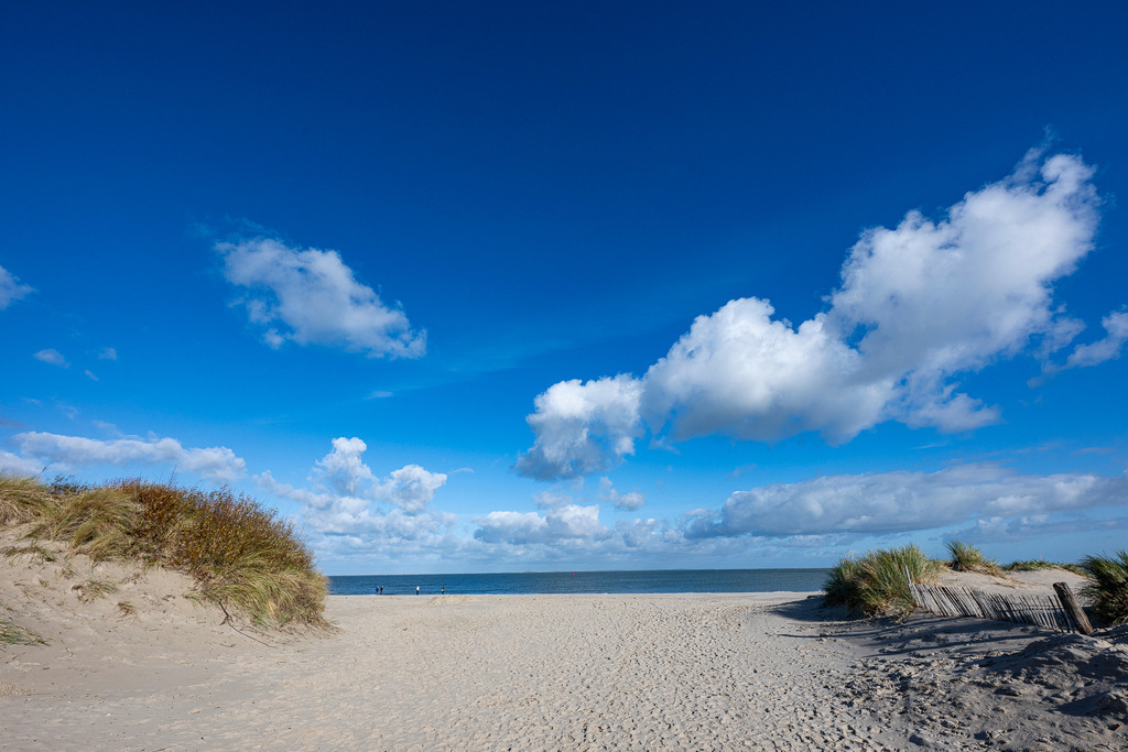 251030_Texel_6841_mr | Entdecke exklusive Fotografie im muebri Shop: Stimmungsvolle Motive  Naturaufnahmen und mehr. Jetzt hochwertige Wandbilder und Fotoabzüge online kaufen! - Realisiert mit Pictrs.com