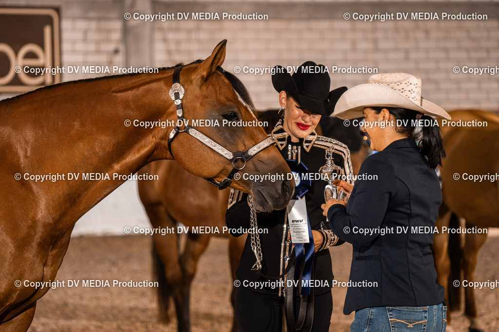 ZH100074 | dv-media-shop - Realisiert mit Pictrs.com