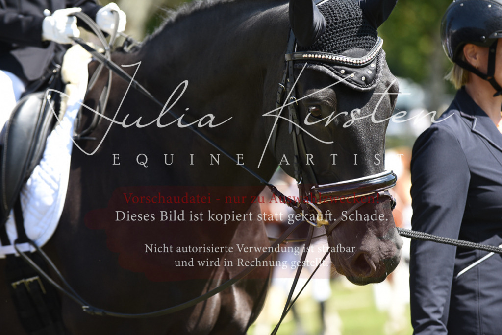 DSC_9764 | Pferde- und Turnierfotografie in Westsachsen. Pferdeportraits, Auftragszeichnungen und intuitive Kunst.