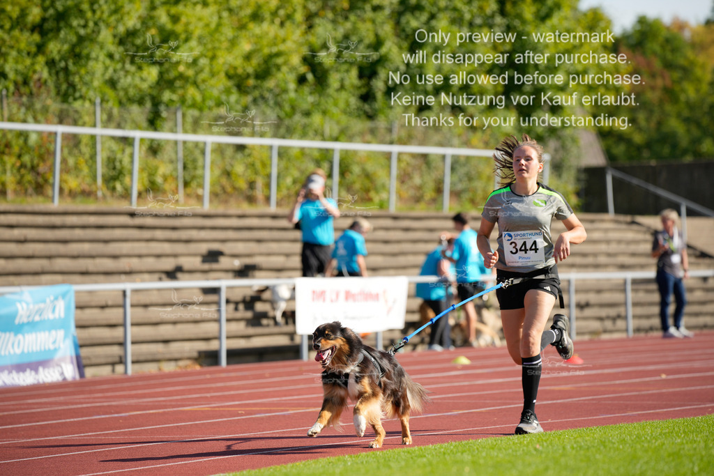 Sonntag_Staffel (66 von 336) | stephaniefillaphotographie - Realisiert mit Pictrs.com