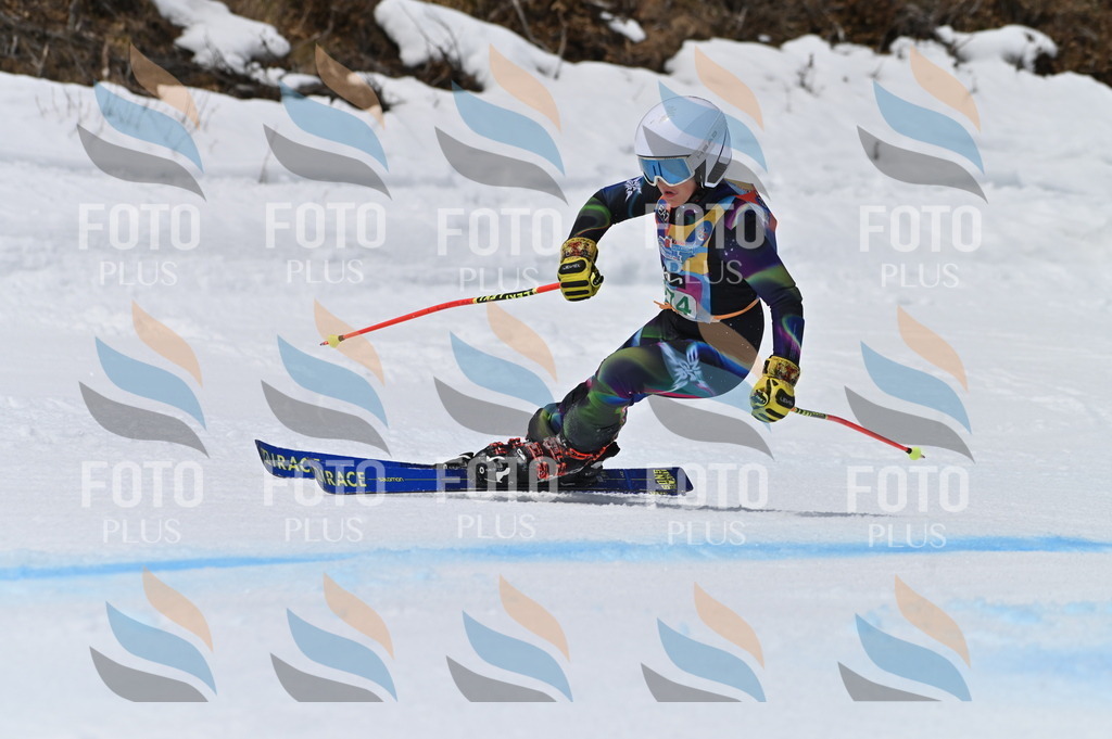 BGV_5437 | holidayphoto