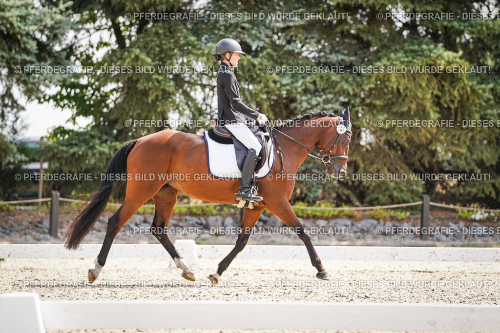 DSC08871 | Pferdegrafie