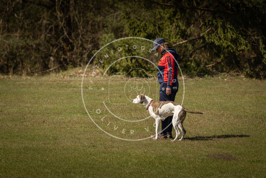 Pfotenfotografie_DV3A0734 | Hundefotografie, Tierfotograf, Pfotenfotografie, Fotoshooting Hund, Hunde Portrait, Hundesport, Hundeportraits, Heideshooting, Hunde, Sportfotograf, Hundefotograf, Turnierhundsport, THS,  - Realisiert mit Pictrs.com