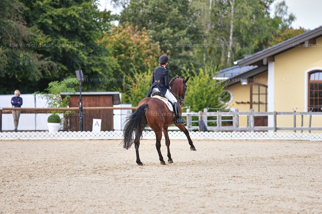 13-072-S___ -Marixx-7069 | working equitationturnier fotograf videograf stoibphotography marixx film working equitation deutschland reitsport turnierfotografie eventfotografie equestrian events