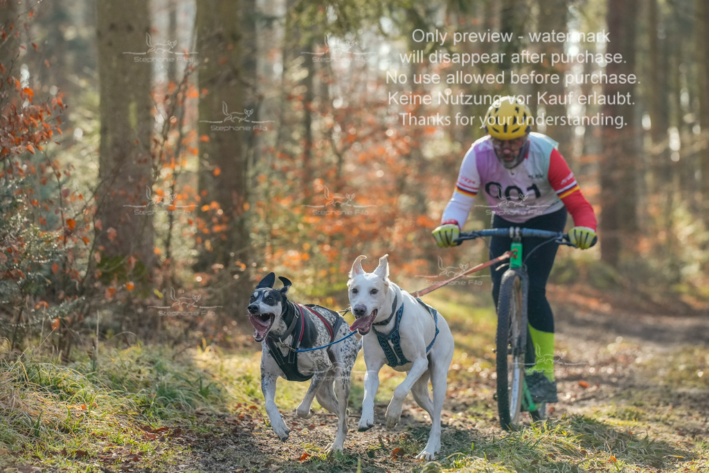 0_So_Scooter_2_lang-6 | stephaniefillaphotographie - Realisiert mit Pictrs.com