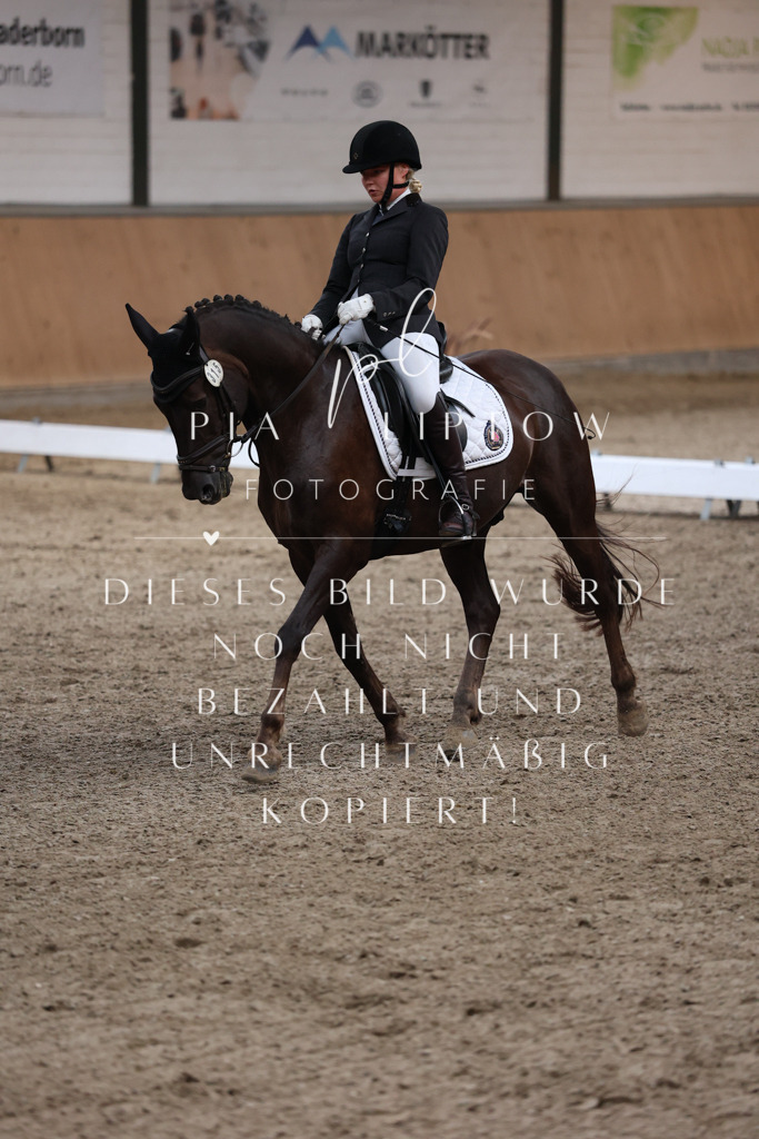 IMGM1008 | pl-fotografie