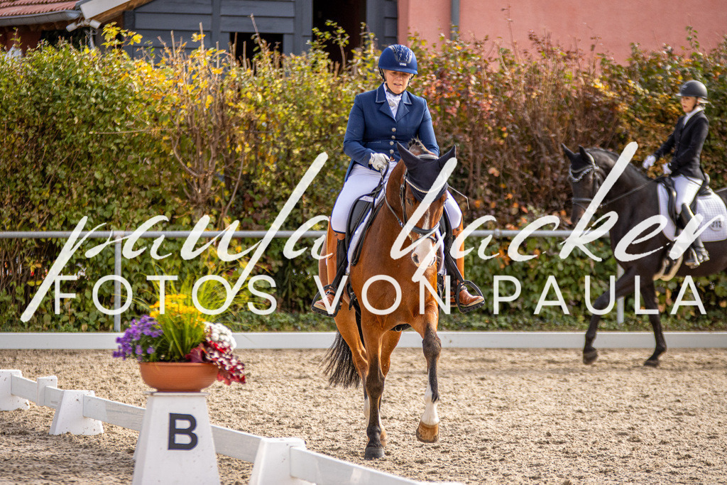 IMG_3222 | Erleben Sie dynamische Sport- und emotionale Tierfotografie in Süddeutschland mit Fotos von Paula. Spezialisiert auf Pferde- und Hundefotografie sowie Sportevents. Kontaktieren Sie mich für einzigartige und ausdrucksstarke Bilder Ihrer besonderen Momente.