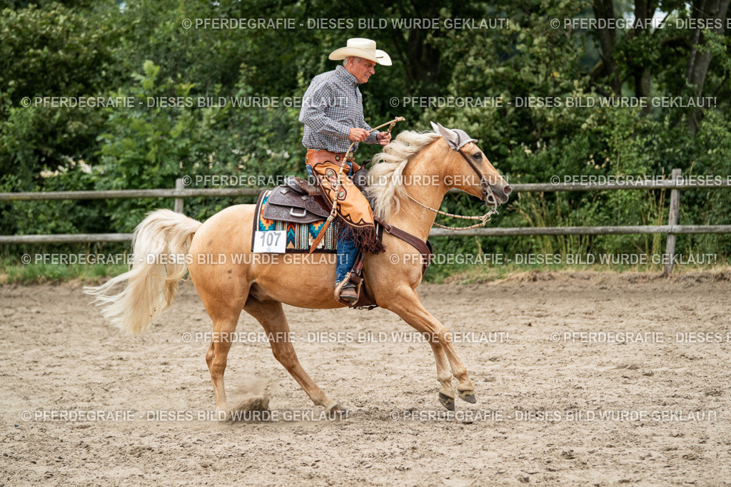 DSC02915 | Pferdegrafie