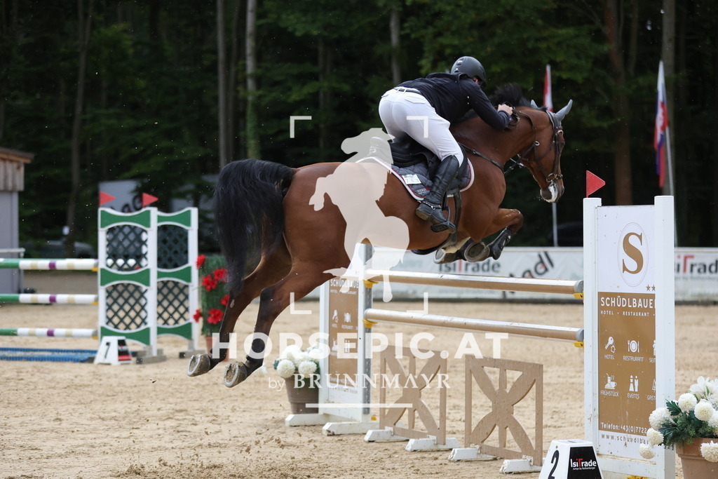 0P6A9178 | Willkommen bei Brunnmayr - Design & Fotografie – Ihrem Spezialisten für Reitturniere und Pferdeveranstaltungen in Oberösterreich, Salzburg und Bayern! Seit über 17 Jahren sind wir leidenschaftlich dabei.