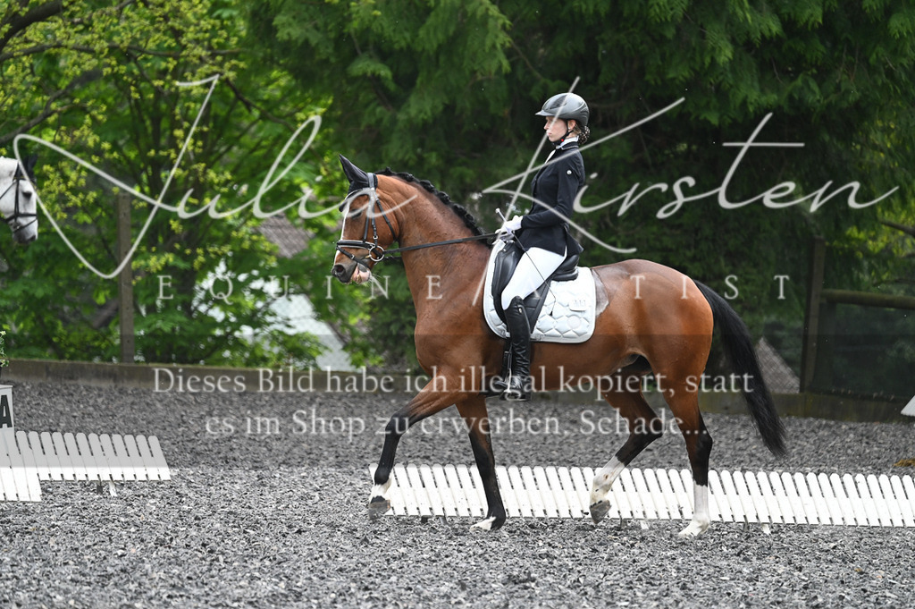20230512_JK-Röhrsdorf-07-291 | Pferde- und Turnierfotografie in Westsachsen. Pferdeportraits, Auftragszeichnungen und intuitive Kunst.