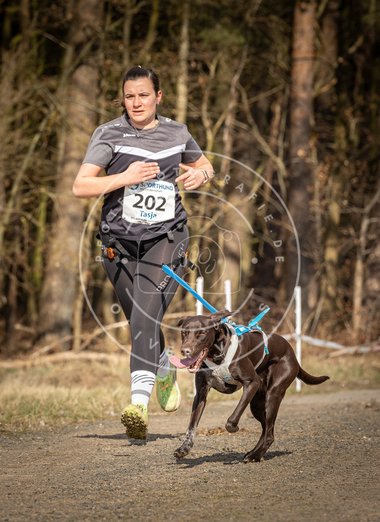 DV3A5880 | Hundefotografie, Tierfotograf, Pfotenfotografie, Fotoshooting Hund, Hunde Portrait, Hundesport, Hundeportraits, Heideshooting, Hunde, Sportfotograf, Hundefotograf, Turnierhundsport, THS,  - Realisiert mit Pictrs.com
