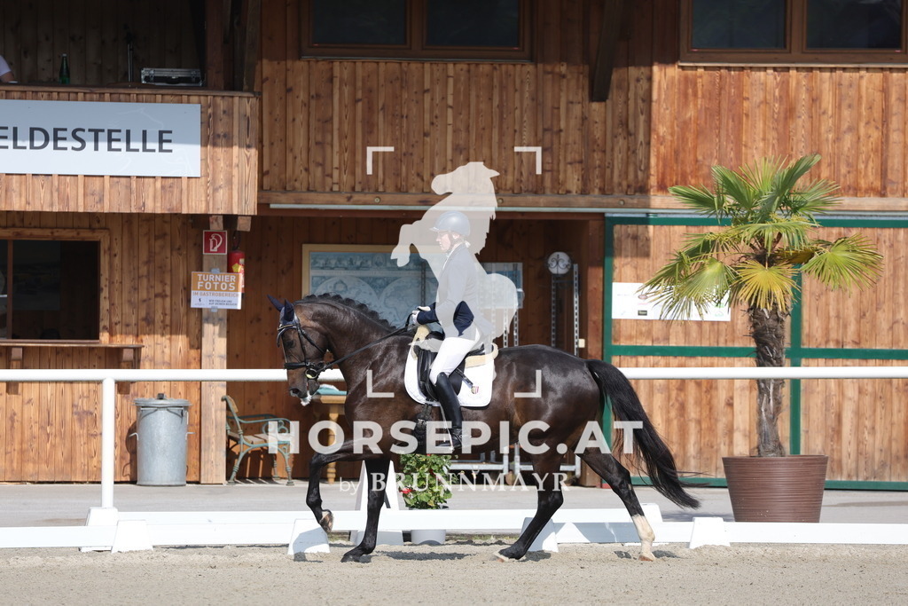 0P6A4541 | Willkommen bei Brunnmayr - Design & Fotografie – Ihrem Spezialisten für Reitturniere und Pferdeveranstaltungen in Oberösterreich, Salzburg und Bayern! Seit über 17 Jahren sind wir leidenschaftlich dabei.