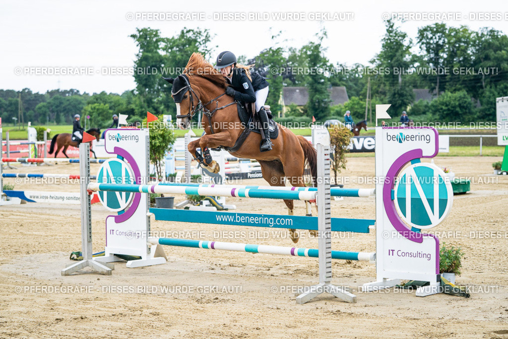 DSC04410 | Pferdegrafie