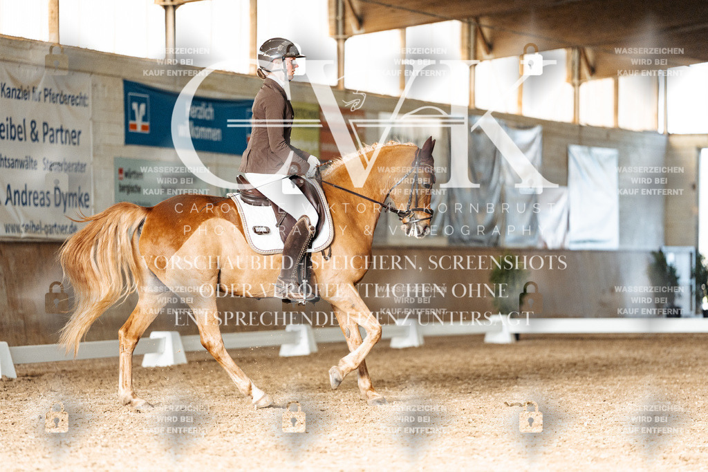 CK902946 | Turnierfotografie Pferdefotografie Trier Rheinland-Pfalz Pferdesport Reitsport Tierfotografie Sportfotografie Pferdevideo Pferdevideografie Equestrianvideography equestrianphotography  - Realisiert mit Pictrs.com
