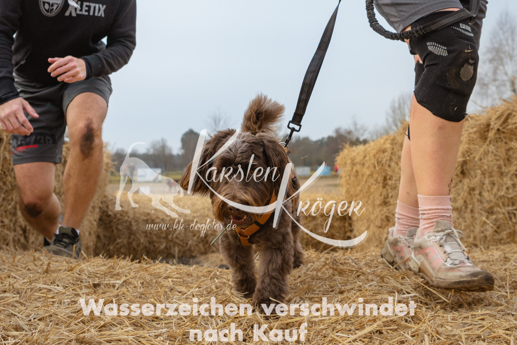 0916_ZZ97610 | kk-dogfotos
