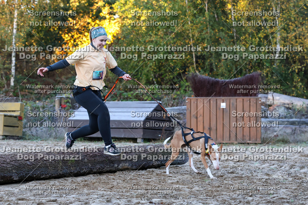 Dog Paparazzi - Strongdog 10-25-328 | Dog Paparazzi Jeanette Grottendiek Fotografie & Videografie - Realisiert mit Pictrs.com