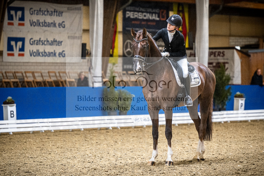 DOS_4204 | Entdecke hochwertige Reitturnierfotos von Foto Oger. Professionell, emotional und authentisch – jetzt Lieblingsmomente im Shop bestellen.Deutschlandweite Turnierfotografie. - Realisiert mit Pictrs.com