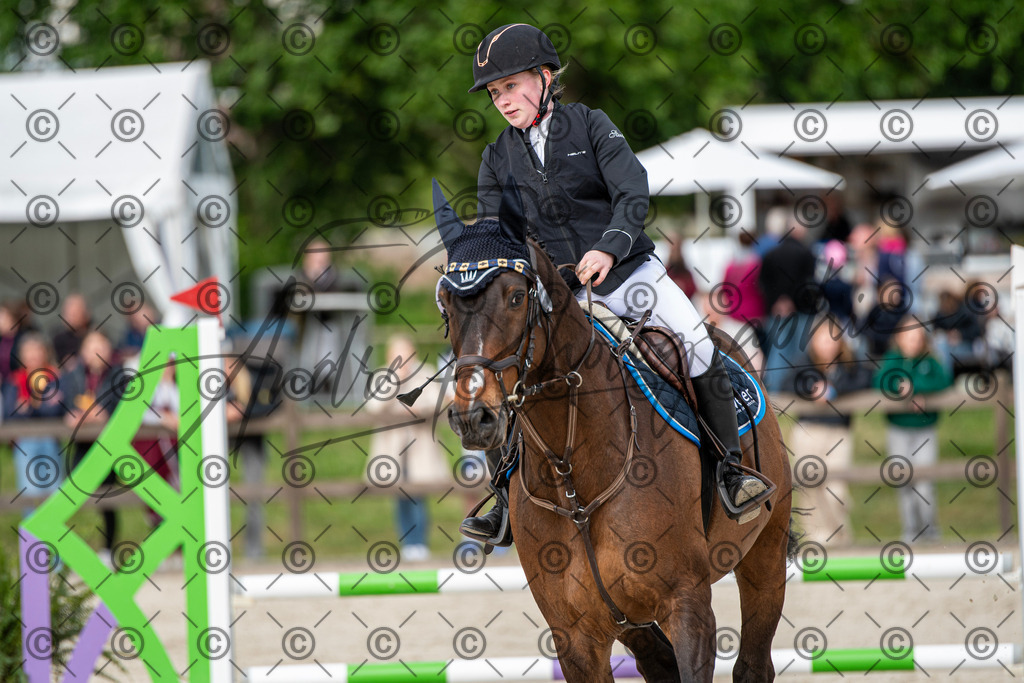 KPT_6541 | andre_photographic