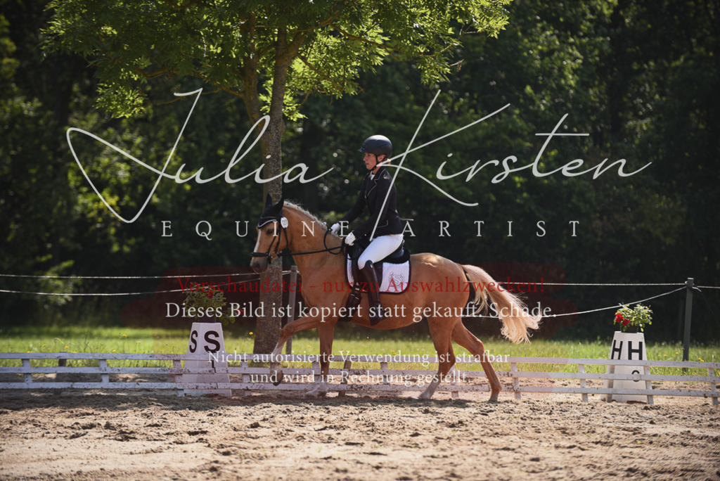 DSC_0615 | Pferde- und Turnierfotografie in Westsachsen. Pferdeportraits, Auftragszeichnungen und intuitive Kunst.