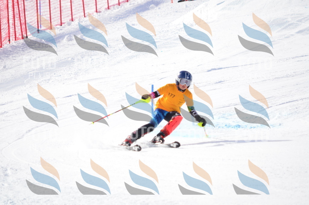 C7953 | holidayphoto