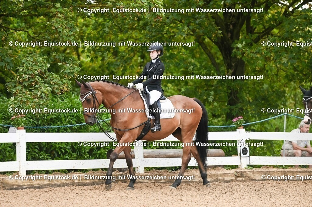 20230716_10-1_Reiter-WB Schritt - Trab - Galopp_0001 | equistock