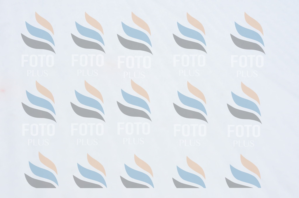 C0973 | holidayphoto