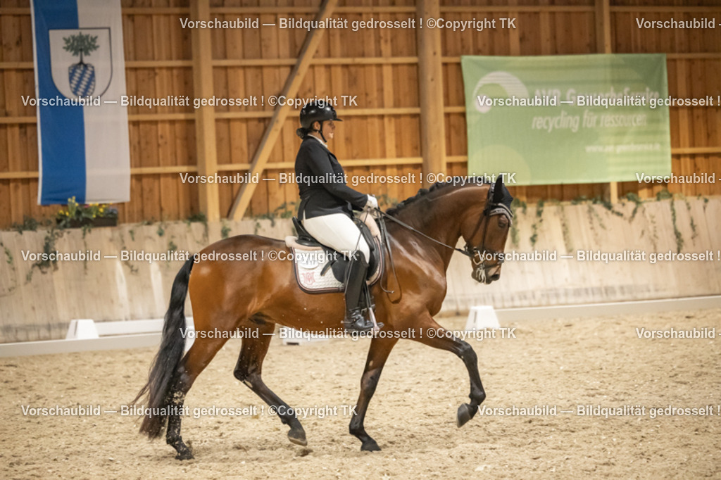 _D5A0933 | Emotionale Pferde- & People-Fotografie rund um Heidelberg, Leimen & Umgebung. Natürliche Fotos von Pferd, Mensch & Familie. Jetzt Termin sichern!