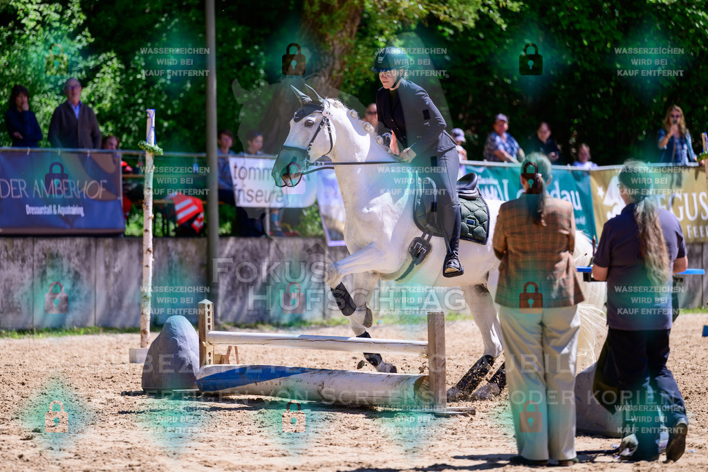 01052026-Giesenbach-02-Stiltrail-0348 | Fokus Hufschlag Fotografie - Realisiert mit Pictrs.com