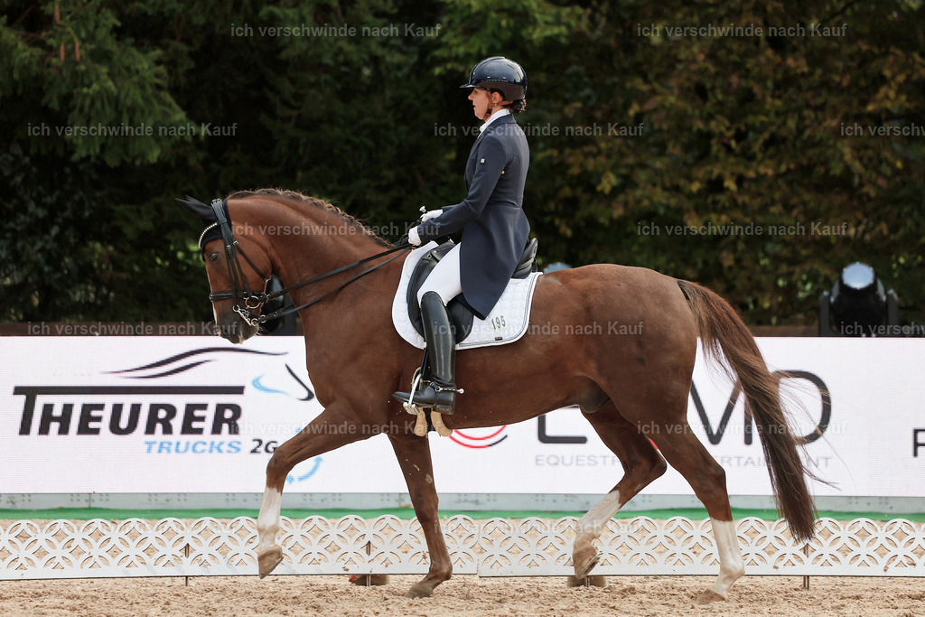 8_2-195-DRESSUR S_  -StoibPH-4523 | working equitationturnier fotograf videograf stoibphotography marixx film working equitation deutschland reitsport turnierfotografie eventfotografie equestrian events