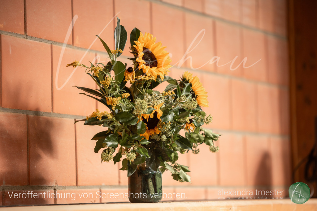 250914_Barop_14_072 | farbklaex.com