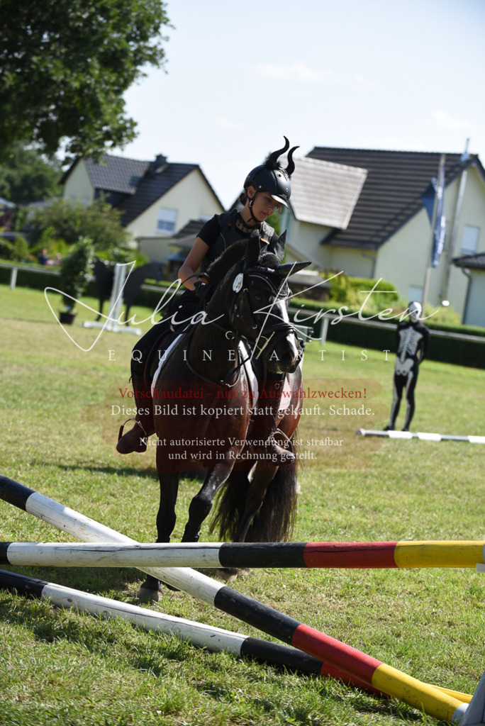 DSC_0352 | Pferde- und Turnierfotografie in Westsachsen. Pferdeportraits, Auftragszeichnungen und intuitive Kunst.