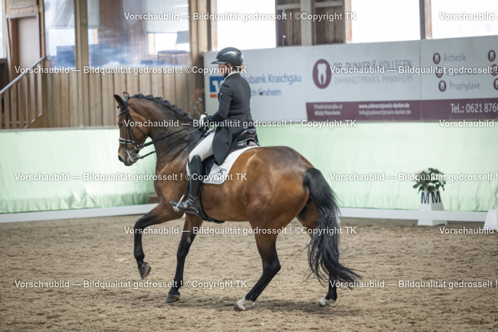 _D5A6359 | Emotionale Pferde- & People-Fotografie rund um Heidelberg, Leimen & Umgebung. Natürliche Fotos von Pferd, Mensch & Familie. Jetzt Termin sichern!